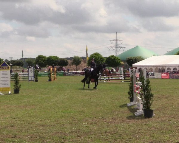 Reitturnier Dersekow 2021