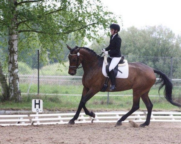 broodmare Lovely GL (Rhinelander, 2006, from Lorgos GL)