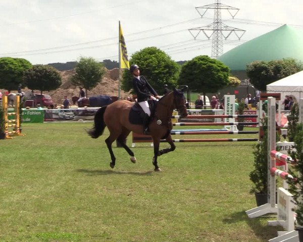 Reitturnier Dersekow 2021