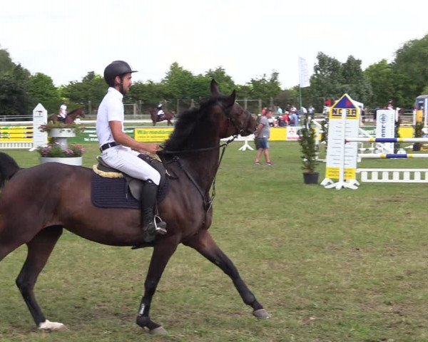 Reitturnier Dersekow 2021