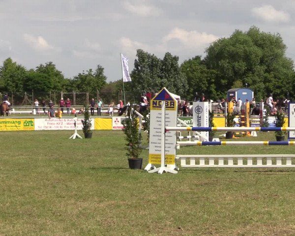 Reitturnier Dersekow 2021