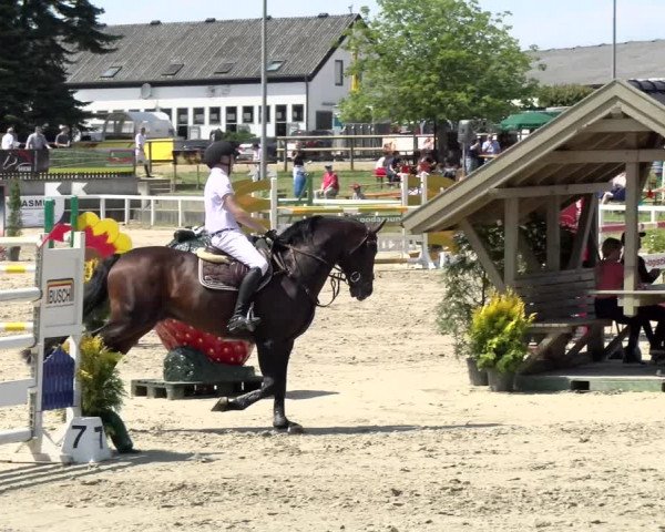 Reitturnier Melle-Ostenfelde 2021