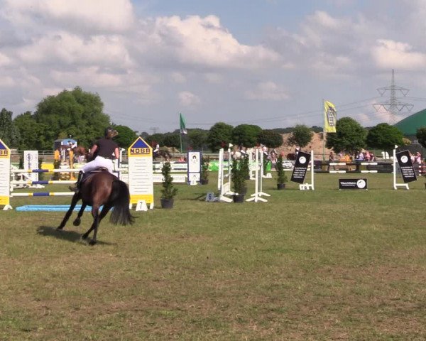 Reitturnier Dersekow 2021