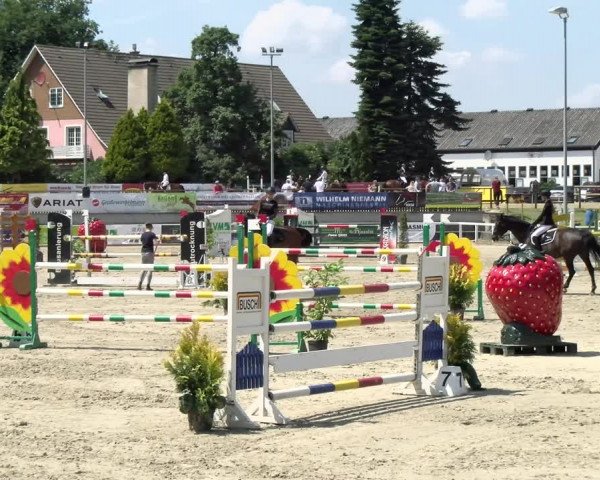 Reitturnier Melle-Ostenfelde 2021