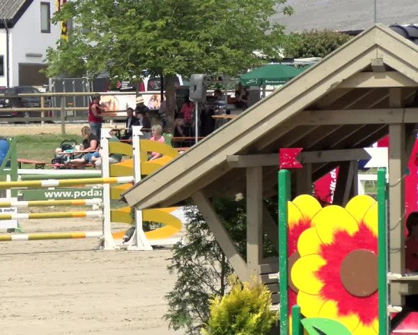 Reitturnier Melle-Ostenfelde 2021