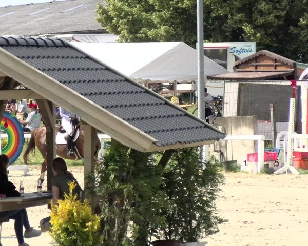 Reitturnier Melle-Ostenfelde 2021
