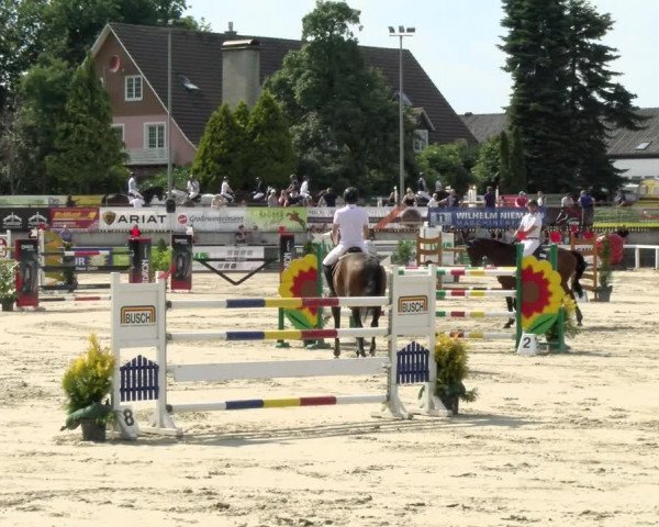 Reitturnier Melle-Ostenfelde 2021