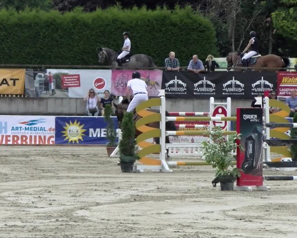 Reitturnier Melle-Ostenfelde 2021