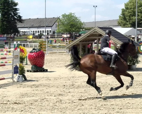 Reitturnier Melle-Ostenfelde 2021