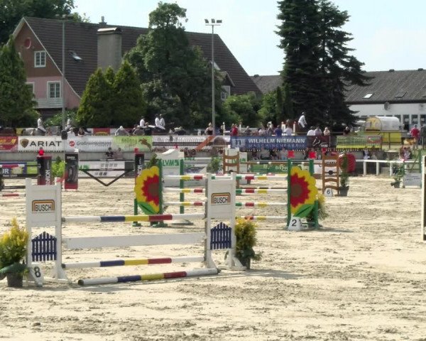Reitturnier Melle-Ostenfelde 2021