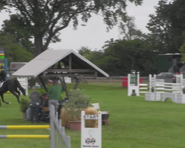 Reitturnier Ihleburg 2021