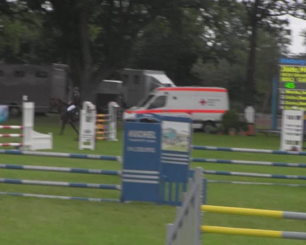 Reitturnier Ihleburg 2021