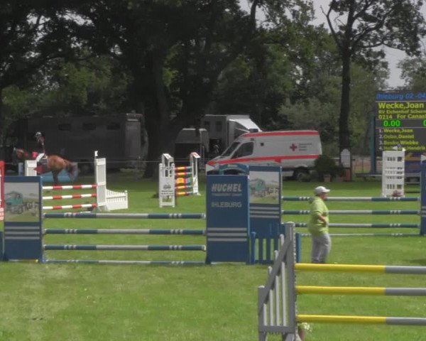 Reitturnier Ihleburg 2021