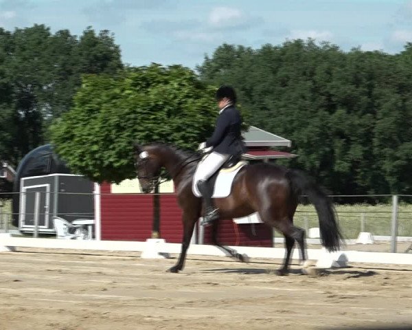 Reitturnier Wohlesbostel 2021