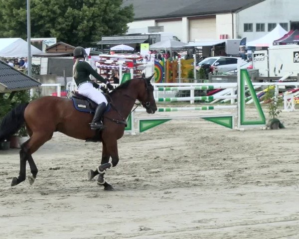 Reitturnier Melle-Ostenfelde 2021