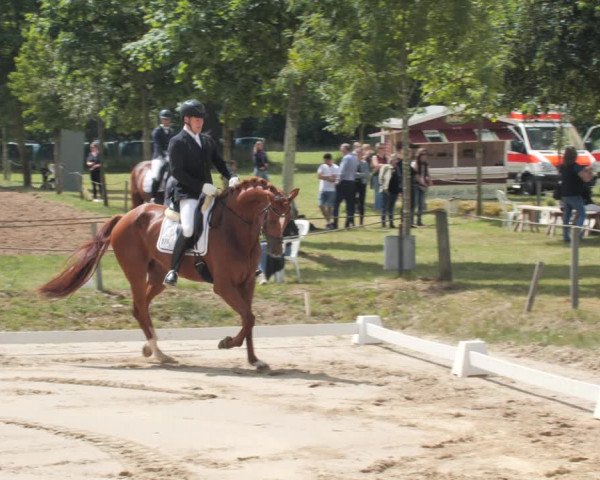 Reitturnier Wohlesbostel 2021