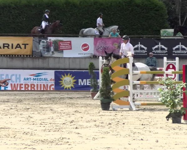 Reitturnier Melle-Ostenfelde 2021
