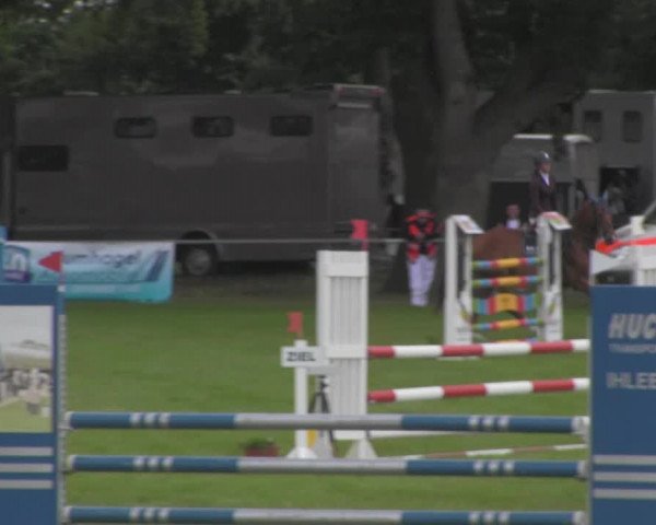 Reitturnier Ihleburg 2021