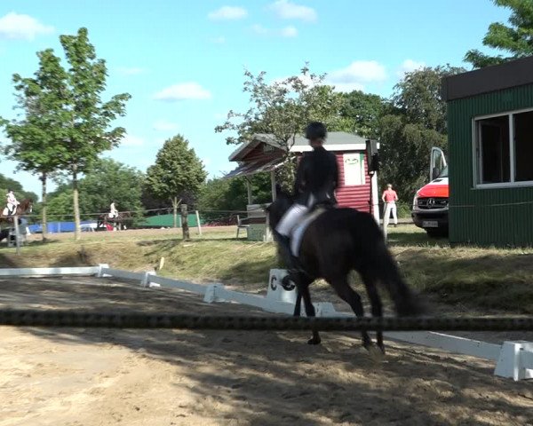Reitturnier Wohlesbostel 2021
