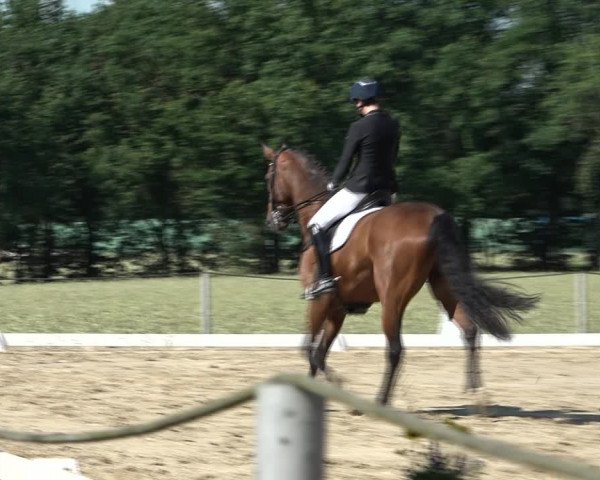 Reitturnier Wohlesbostel 2021