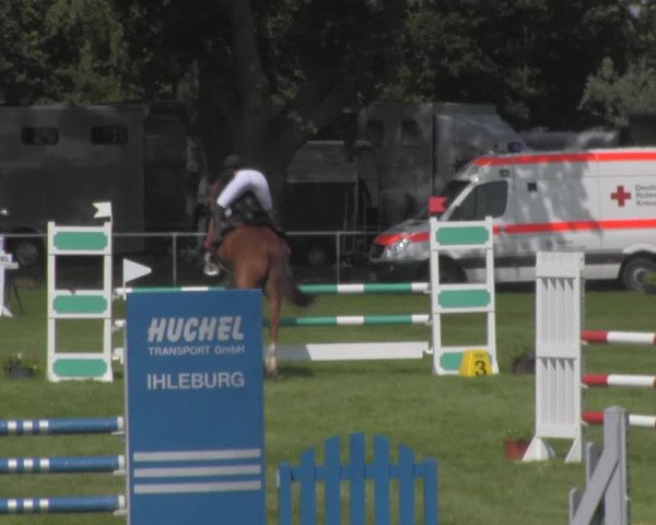 Reitturnier Ihleburg 2021