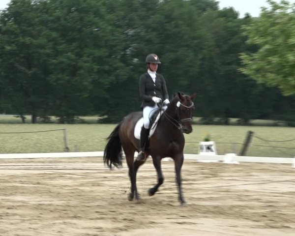 Reitturnier Wohlesbostel 2021
