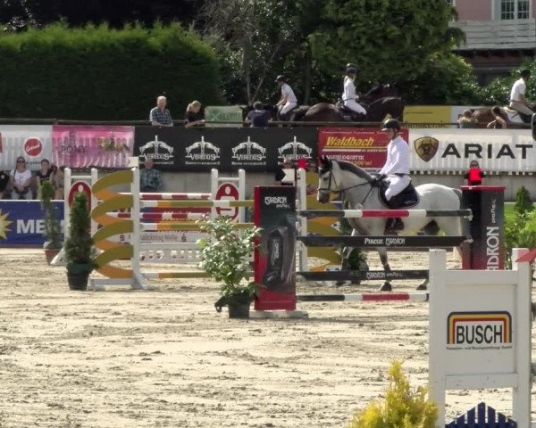 Reitturnier Melle-Ostenfelde 2021