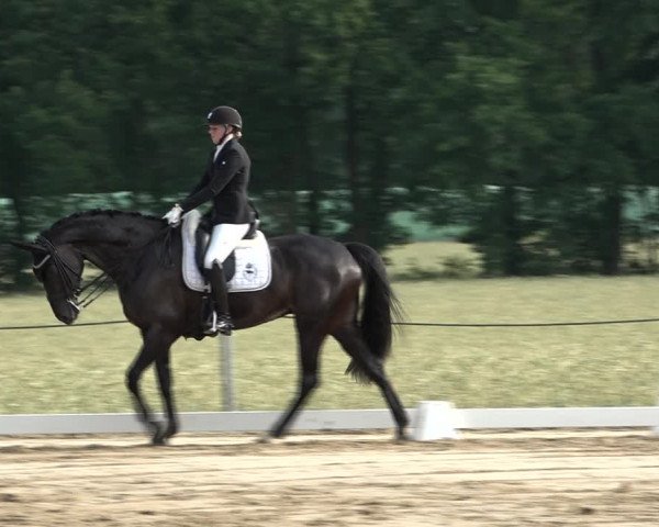 Reitturnier Wohlesbostel 2021