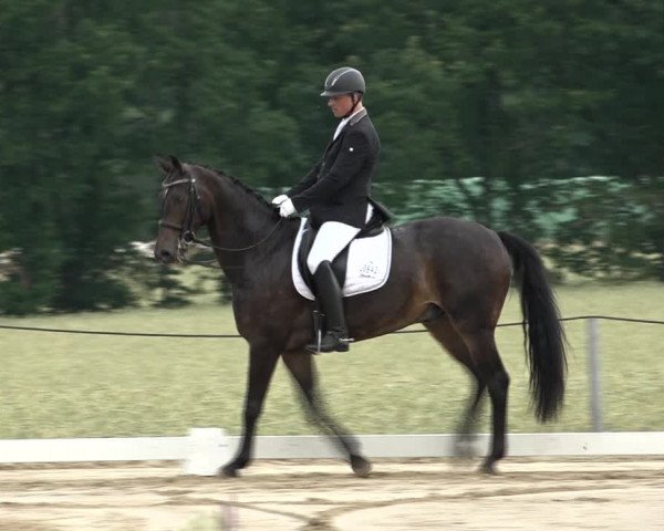 Reitturnier Wohlesbostel 2021