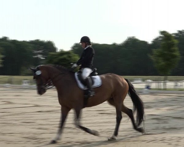 Reitturnier Wohlesbostel 2021