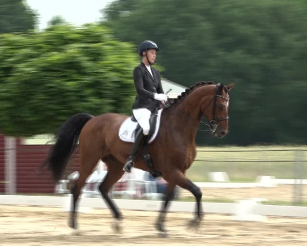 Reitturnier Wohlesbostel 2021