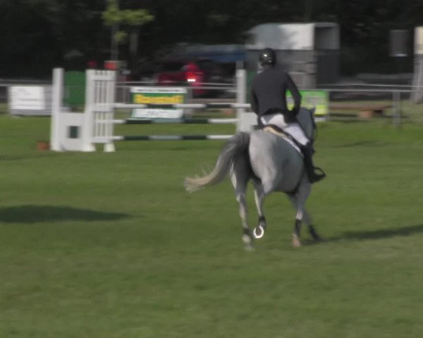 Reitturnier Ihleburg 2021