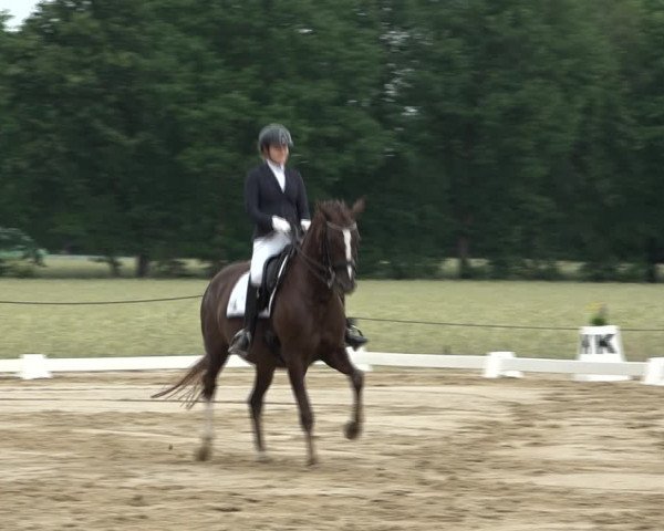 Reitturnier Wohlesbostel 2021