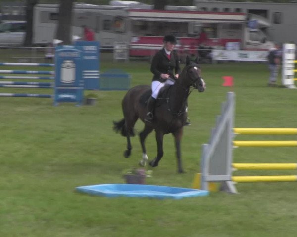 Reitturnier Ihleburg 2021