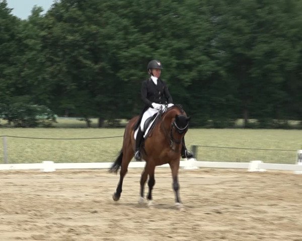 Reitturnier Wohlesbostel 2021