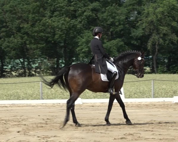 Reitturnier Wohlesbostel 2021