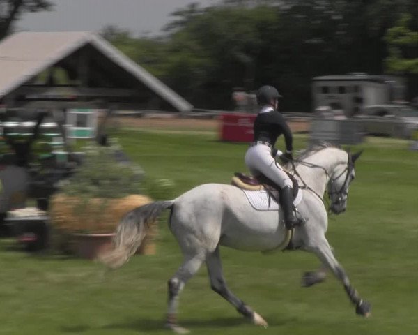 Reitturnier Ihleburg 2021