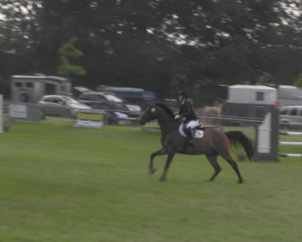 Reitturnier Ihleburg 2021