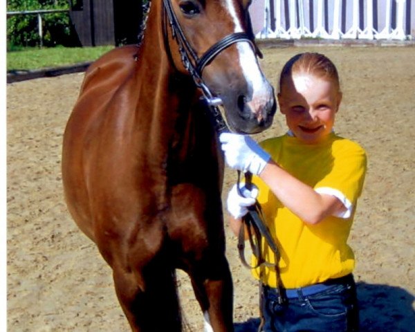 broodmare Buenteeichen Corana (Welsh-Pony (Section B), 1996, from Ernesto)