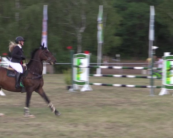 Reitturnier Niederwerbig 2021