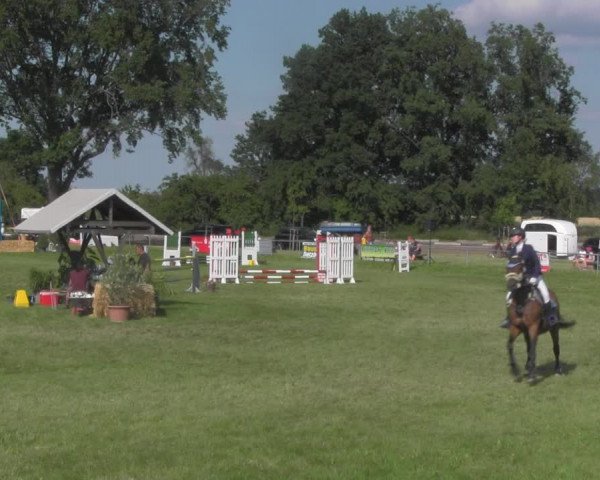 Reitturnier Ihleburg 2021