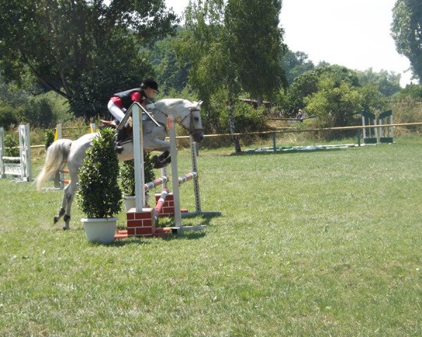 Springpferd Naika 5 (Deutsches Reitpony, 2003, von FS Pontiac)