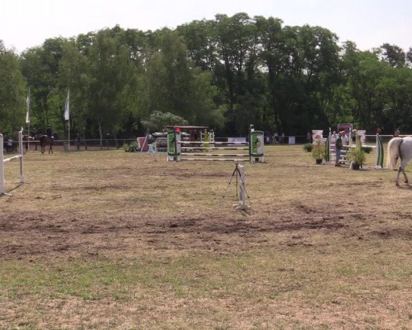 Reitturnier Niederwerbig 2021
