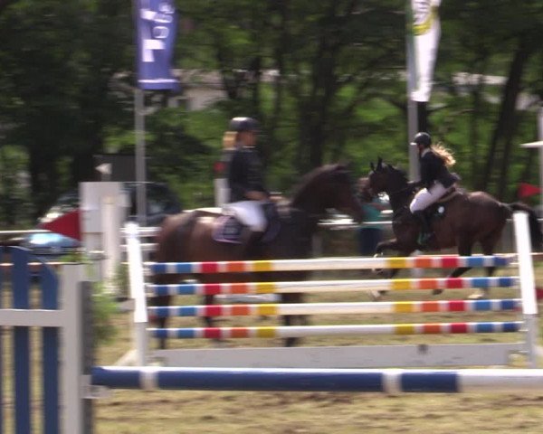 Reitturnier Niederwerbig 2021
