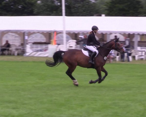 Reitturnier Hanerau-Hademarschen 2021