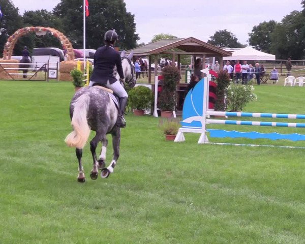Reitturnier Hanerau-Hademarschen 2021