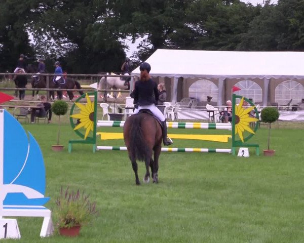 Reitturnier Hanerau-Hademarschen 2021