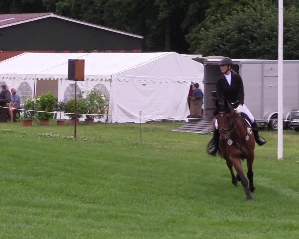 Reitturnier Hanerau-Hademarschen 2021