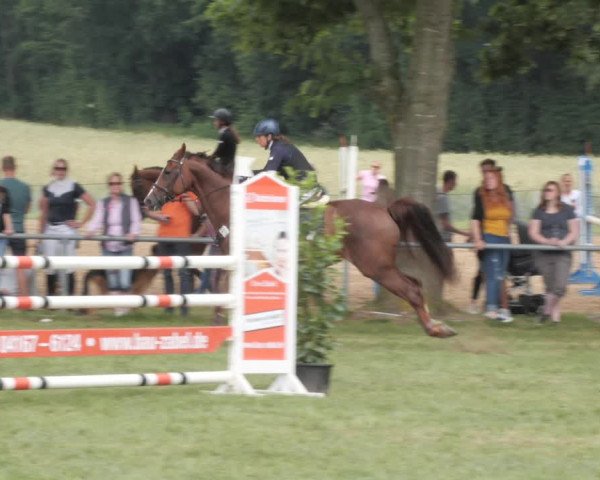 Reitturnier Wohlesbostel 2021