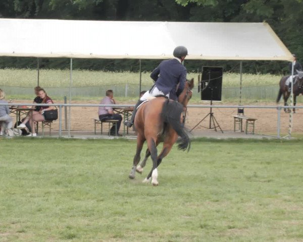Reitturnier Wohlesbostel 2021